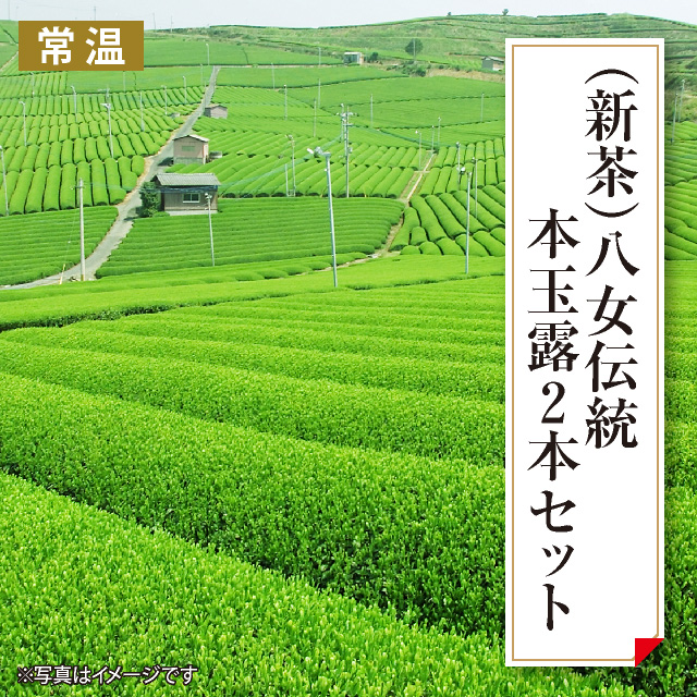 【新茶】八女伝統本玉露　２本セット