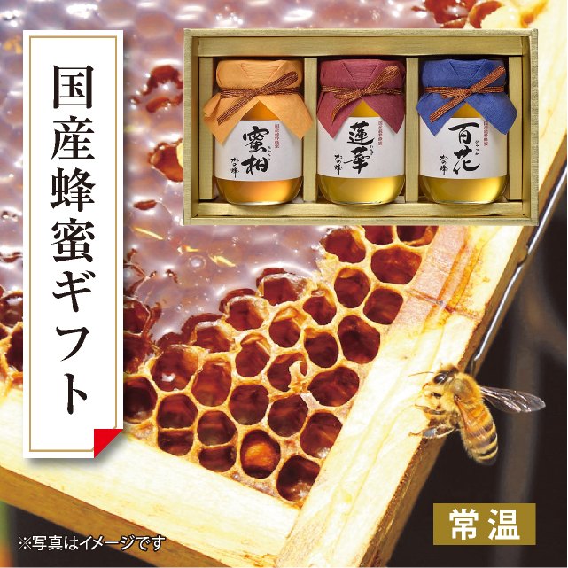 国産　蜂蜜ギフト