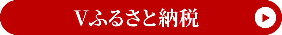 Ⅴふるさと納税