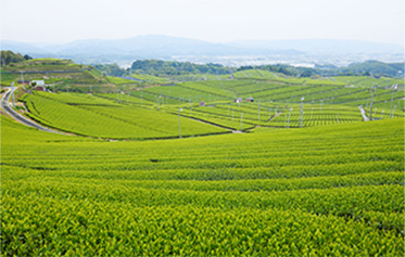 福岡県八女市